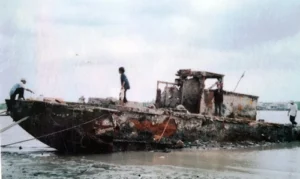 Vụ án thi thể nữ chủ tàu cá Trần Thị D. đã mở ra một cái nhìn sâu sắc về tội ác và sự bất an trong xã hội hiện đại